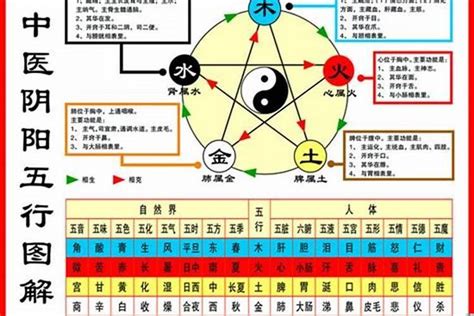 1984年五行缺什么|1984年属鼠是什么命，84年出生五行属什么